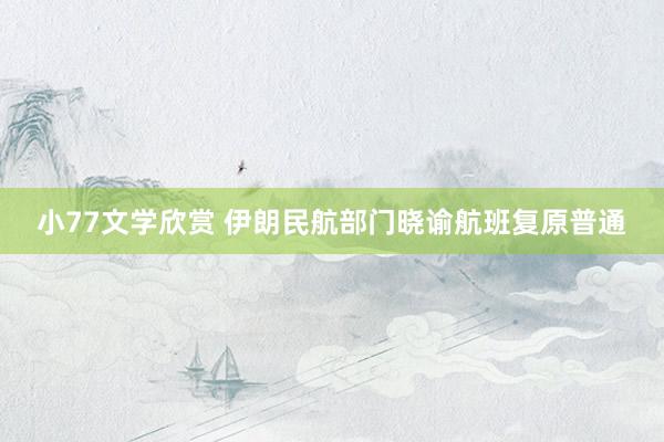 小77文学欣赏 伊朗民航部门晓谕航班复原普通