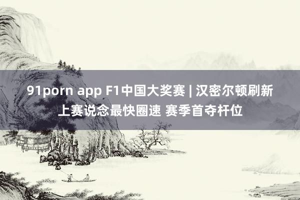 91porn app F1中国大奖赛 | 汉密尔顿刷新上赛说念最快圈速 赛季首夺杆位