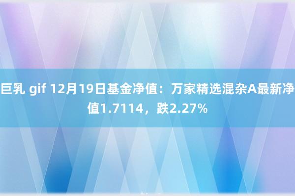 巨乳 gif 12月19日基金净值：万家精选混杂A最新净值1.7114，跌2.27%