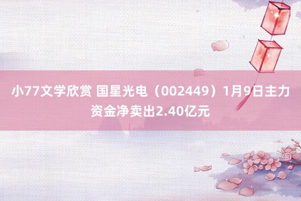 小77文学欣赏 国星光电（002449）1月9日主力资金净卖出2.40亿元