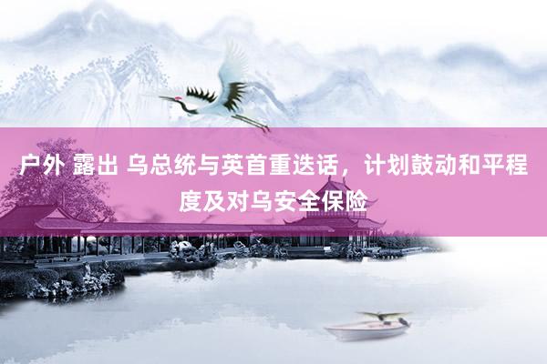 户外 露出 乌总统与英首重迭话，计划鼓动和平程度及对乌安全保险