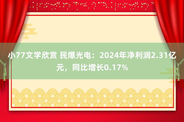 小77文学欣赏 民爆光电:2024年净利润2.31亿元,同比增长0.17%