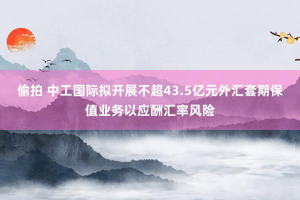 偷拍 中工国际拟开展不超43.5亿元外汇套期保值业务以应酬汇率风险