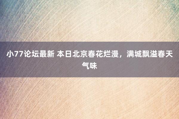 小77论坛最新 本日北京春花烂漫，满城飘溢春天气味