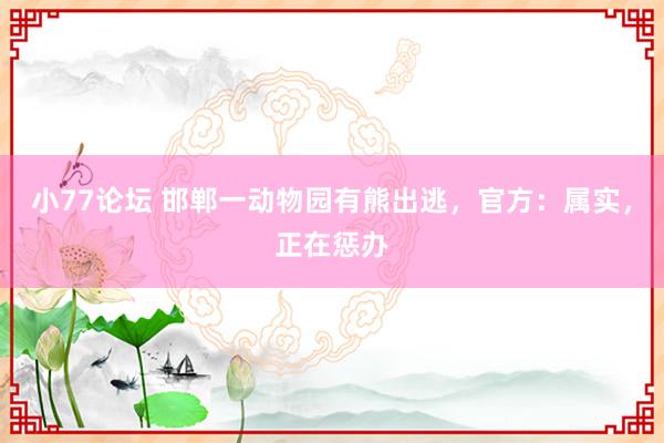 小77论坛 邯郸一动物园有熊出逃,官方:属实,正在惩办