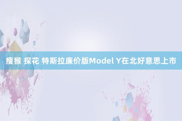瘦猴 探花 特斯拉廉价版Model Y在北好意思上市