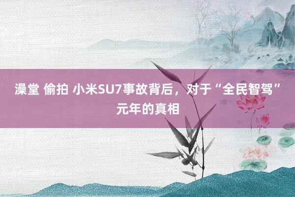 澡堂 偷拍 小米SU7事故背后，对于“全民智驾”元年的真相