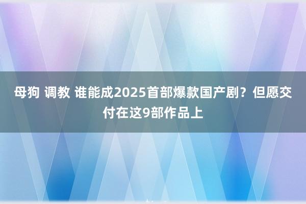 母狗 调教 谁能成2025首部爆款国产剧？但愿交付在这9部作品上