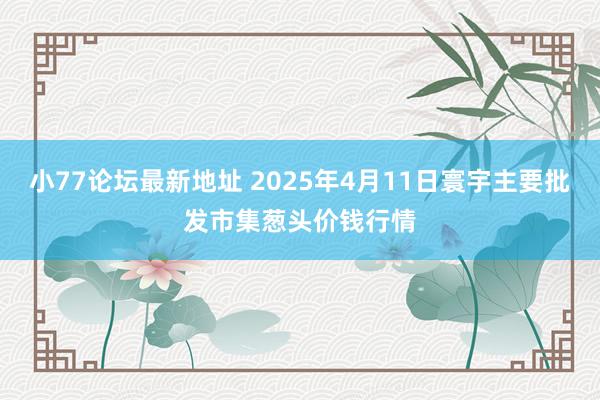 小77论坛最新地址 2025年4月11日寰宇主要批发市集葱头价钱行情