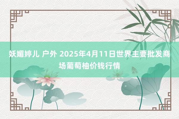 妖媚婷儿 户外 2025年4月11日世界主要批发商场葡萄柚价钱行情