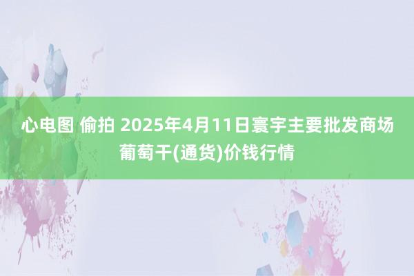 心电图 偷拍 2025年4月11日寰宇主要批发商场葡萄干(通货)价钱行情