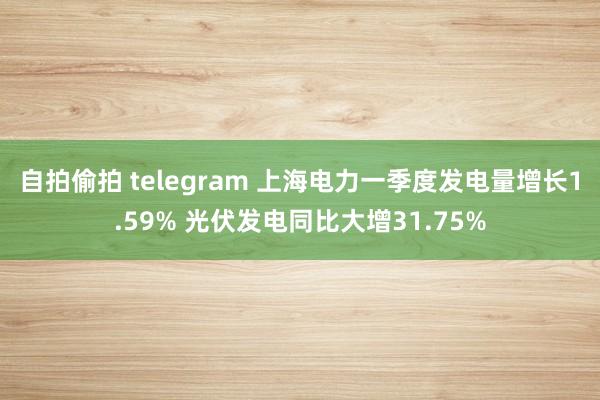 自拍偷拍 telegram 上海电力一季度发电量增长1.59% 光伏发电同比大增31.75%