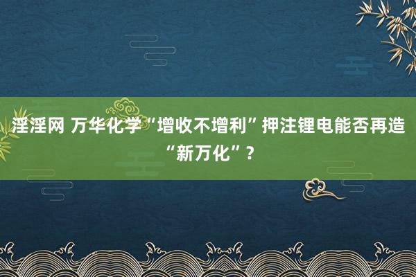 淫淫网 万华化学“增收不增利”押注锂电能否再造“新万化”？