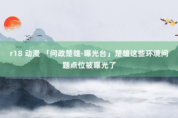 r18 动漫 「问政楚雄·曝光台」楚雄这些环境问题点位被曝光了