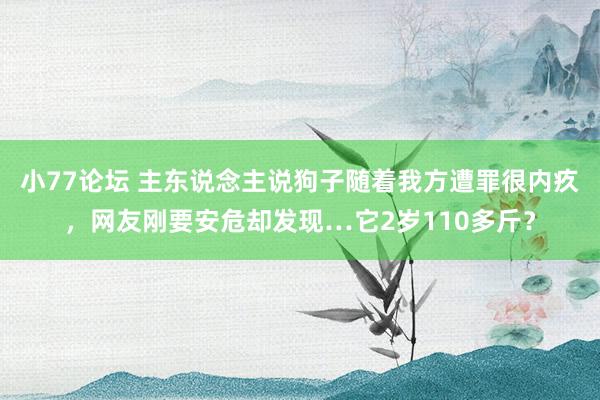 小77论坛 主东说念主说狗子随着我方遭罪很内疚，网友刚要安危却发现…它2岁110多斤？
