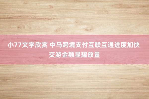 小77文学欣赏 中马跨境支付互联互通进度加快 交游金额显耀放量