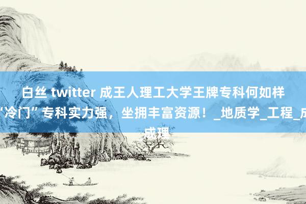 白丝 twitter 成王人理工大学王牌专科何如样？“冷门”专科实力强，坐拥丰富资源！_地质学_工程_成理