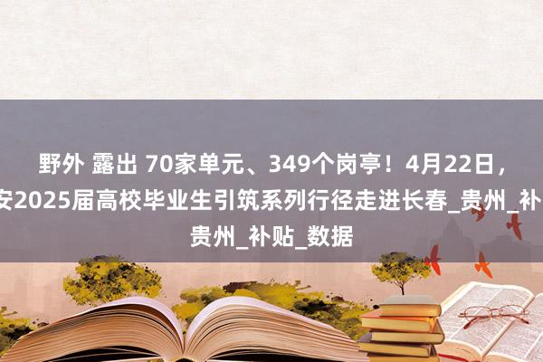 野外 露出 70家单元、349个岗亭！4月22日，贵阳贵安2025届高校毕业生引筑系列行径走进长春_贵州_补贴_数据