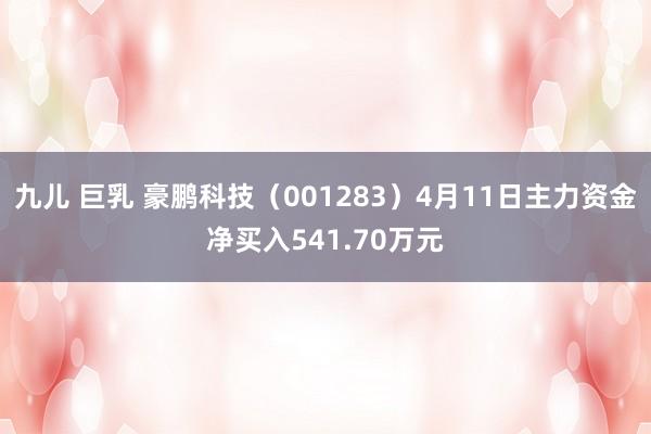 九儿 巨乳 豪鹏科技（001283）4月11日主力资金净买入541.70万元
