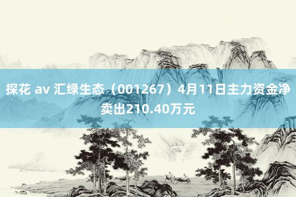 探花 av 汇绿生态（001267）4月11日主力资金净卖出210.40万元