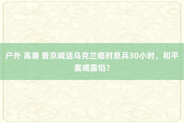 户外 高潮 普京喊话乌克兰临时息兵30小时，和平晨曦露馅？