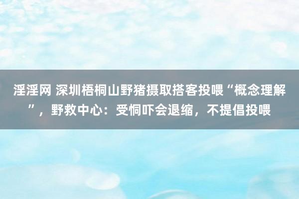 淫淫网 深圳梧桐山野猪摄取搭客投喂“概念理解”，野救中心：受恫吓会退缩，不提倡投喂