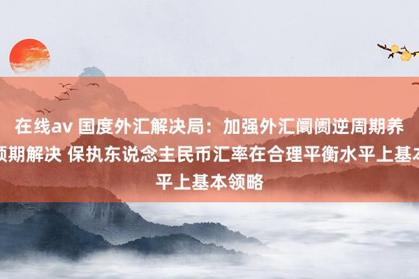 在线av 国度外汇解决局：加强外汇阛阓逆周期养息和预期解决 保执东说念主民币汇率在合理平衡水平上基本领略