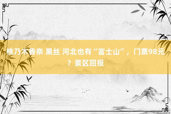 桃乃木香奈 黑丝 河北也有“富士山”，门票98元？景区回报