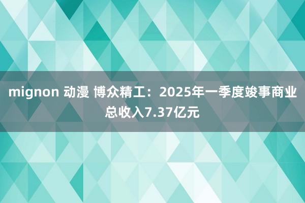 mignon 动漫 博众精工：2025年一季度竣事商业总收入7.37亿元