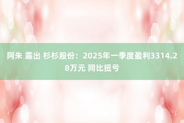 阿朱 露出 杉杉股份：2025年一季度盈利3314.28万元 同比扭亏
