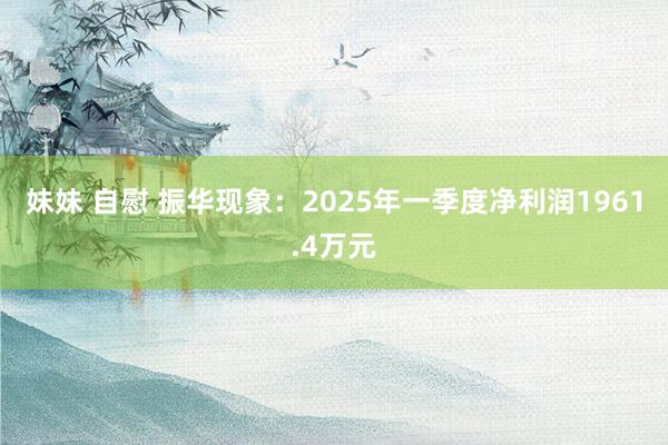 妹妹 自慰 振华现象：2025年一季度净利润1961.4万元