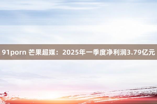 91porn 芒果超媒：2025年一季度净利润3.79亿元