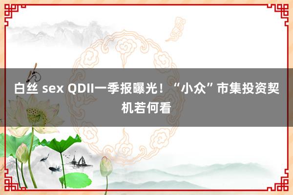 白丝 sex QDII一季报曝光！“小众”市集投资契机若何看