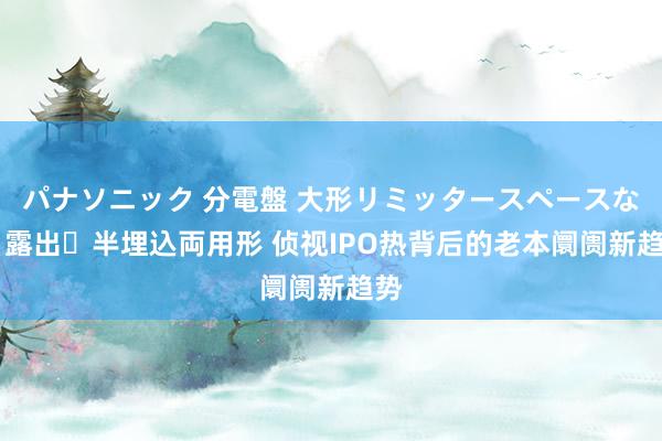 パナソニック 分電盤 大形リミッタースペースなし 露出・半埋込両用形 侦视IPO热背后的老本阛阓新趋势