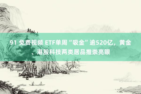 91 免费视频 ETF单周“吸金”逾520亿，黄金、港股科技两类居品推崇亮眼