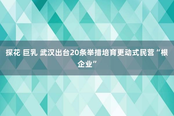 探花 巨乳 武汉出台20条举措培育更动式民营“根企业”